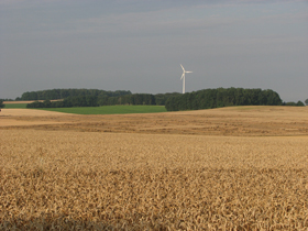 Bild 3 von 4